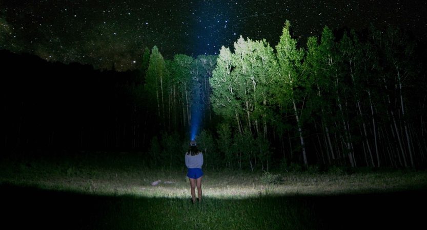 a person wearing a headlamp looks up, illuminating the green trees and night sky before them.